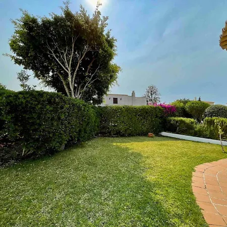 Oceankokia * アルブフェイラ