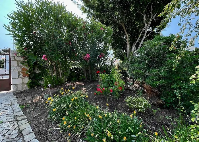 Oceankokia Villa Albufeira